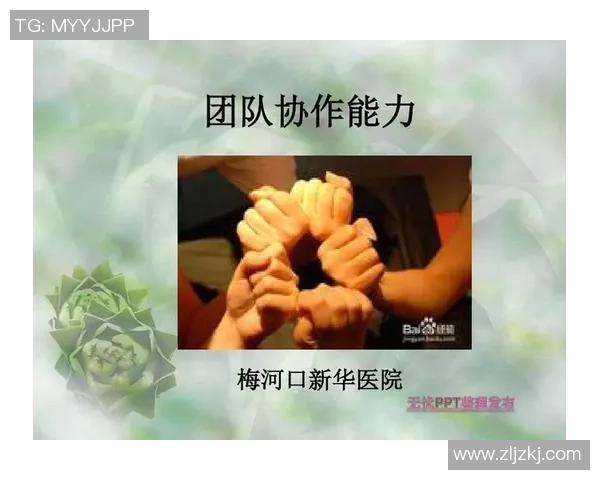 深圳排球队与广州排球队的赛后复盘探讨团队协作的关键因素与表现