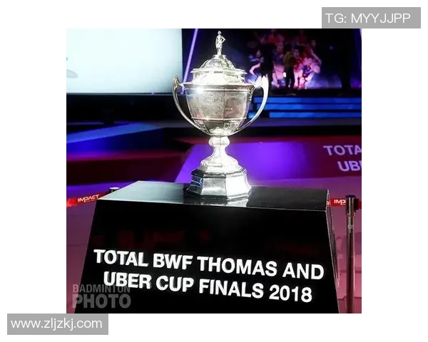 成都羽毛球队在城市联赛中的状态分析与表现点评